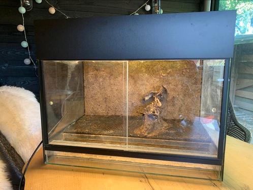 Mooi Paludarium van dutch rana starter, Dieren en Toebehoren, Reptielen en Amfibieën | Toebehoren, Gebruikt, Terrarium of Paludarium