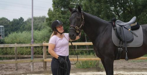 Trailerladen, schriktraining, longeerles, zadelmak maken, Hobby en Vrije tijd, Overige Hobby en Vrije tijd, Nieuw, Ophalen of Verzenden