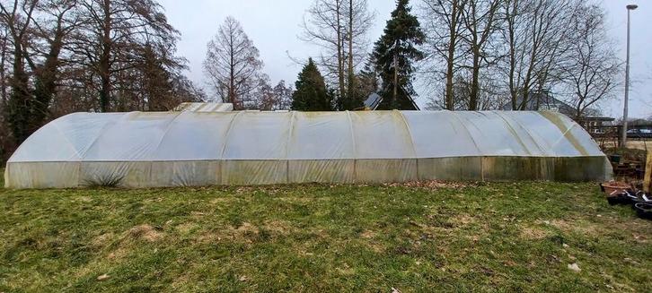 Professionele tunnelkas!, Tuin en Terras, Kassen, Gebruikt, Kweekkas, Staal, Folie, Ophalen