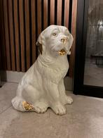 Vintage XXL hond, Ophalen of Verzenden, Gebruikt, Dier