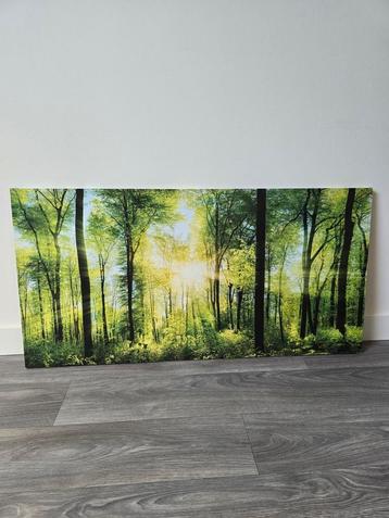 Canvas Schilderij/Foto Bos 90x50cm beschikbaar voor biedingen