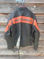 Harley Davidson motorjas, Ophalen of Verzenden, Tweedehands, Jas | textiel