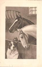 Ansichtkaart, Alfred Schönian, paard met honden in stal., Verzamelen, Ansichtkaarten | Themakaarten, Gelopen, Overige thema's
