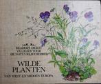 Readers Digest Veldgids voor de natuurliefhebber WILDE PLANT