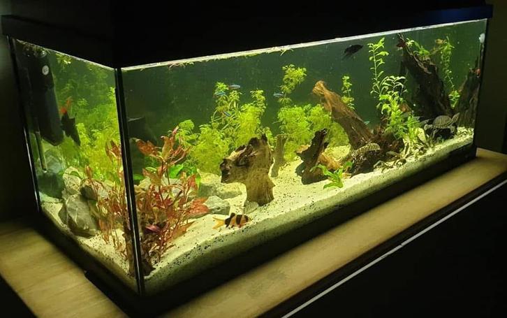 Vissenopvang Groningen, Dieren en Toebehoren, Vissen | Aquaria en Toebehoren, Zo goed als nieuw, Leeg aquarium, Ophalen of Verzenden