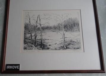 FRAAIE ETS BOS EN HEIDE * P. DORSSELAER * In Lijst * beschikbaar voor biedingen