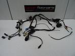 Kabelboom / Wire Harness Honda CBR600RR 2003-2004 PC37, Gebruikt, -, -, Ophalen of Verzenden