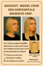 Ik ben op zoek naar een model voor een horizontale, massieve, Sieraden, Tassen en Uiterlijk, Uiterlijk | Haarverzorging, Ophalen of Verzenden