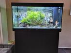 Juwel Rio 350 zwart met kast., Ophalen, Zo goed als nieuw, Gevuld zoetwateraquarium