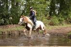 Superlieve C tinkermerrie is opzoek naar nieuw ruitertje!, Dieren en Toebehoren, Pony's, B, C pony (1.27m tot 1.37m), 11 jaar of ouder