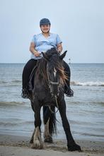 Gezocht: paard/ pony voor beginnende ruiter, Ophalen