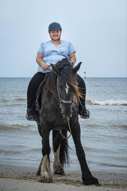 Gezocht: paard/ pony voor beginnende ruiter, Dieren en Toebehoren, Paarden en Pony's | Verzorgingsproducten, Ophalen