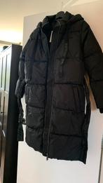 Winterjas Raizzed nieuw, Ophalen of Verzenden, Nieuw, Maat 34 (XS) of kleiner, Zwart