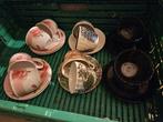 koffie kopjes, Huis en Inrichting, Keuken | Servies, Ophalen, Overige materialen, Zo goed als nieuw, Overige stijlen