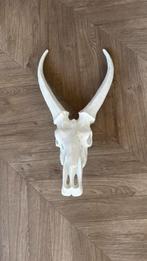 Gewei antilope kunststof, Ophalen of Verzenden, Nieuw, Hert, Gewei of Kop