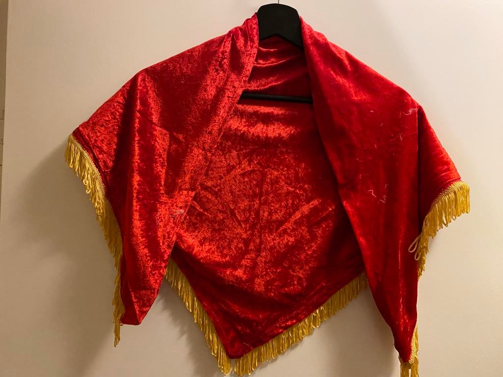 Fluweel rood kostuum gilet met gouden franjes, Ophalen of Verzenden, Zo goed als nieuw, Meisje