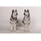 Husky hondenset beelden - set van 2 Lifesize
