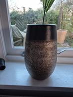 Vazen, Overige kleuren, Ophalen of Verzenden, Minder dan 50 cm, Glas