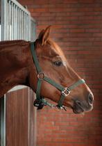 Birth Alarm HUUR, geboortemelder, Dieren en Toebehoren, Paarden en Pony's | Overige Paardenspullen, Ophalen of Verzenden, Gebruikt