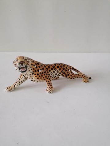 Rozan italy #panter/#jaguar/#tijger beschikbaar voor biedingen