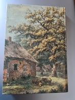 De Drentsche Patrijshond, Ophalen of Verzenden, Honden