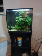 Aquarium met led lights, Dieren en Toebehoren, Vissen | Aquaria en Toebehoren, Ophalen of Verzenden, Gebruikt, Leeg aquarium
