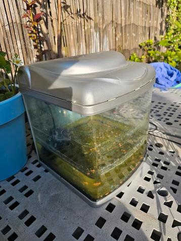 Superfish Aquarium+pomp+verli ruil luchtpomp boot beschikbaar voor biedingen