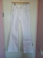 Cotton club: witte flared broek, Wit, Nieuw, Ophalen of Verzenden, Cotton Club