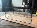 Glazen hamsterkooi met tralies. Dwerghamster, Dieren en Toebehoren, Knaagdieren en Konijnen | Hokken en Kooien, Kooi, Minder dan 75 cm