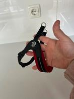 2 Tre Ponti tuigjes & 2 korte riempjes, Dieren en Toebehoren, Ophalen of Verzenden, Zo goed als nieuw