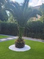 Stratenmaker/Tuinman heeft gelijk tijd