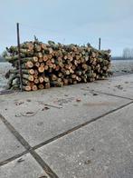 haardhout, Tuin en Terras, Haardhout, 3 tot 6 m³, Ophalen, Overige houtsoorten, Stammen