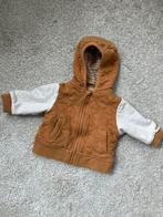 Vestje Prénatal mt 62, Ophalen of Verzenden, Zo goed als nieuw, Jongetje, Truitje of Vestje