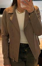 Arma collection, Overige kleuren, Arma collection, Ophalen of Verzenden, Maat 36 (S)