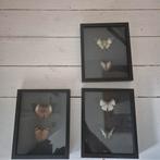Vlinders, ingelijst 5x. Opgezette vlinders, taxidermie, Ophalen of Verzenden, Gebruikt, Insect, Opgezet dier