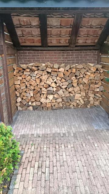 Hard hout  beschikbaar voor biedingen