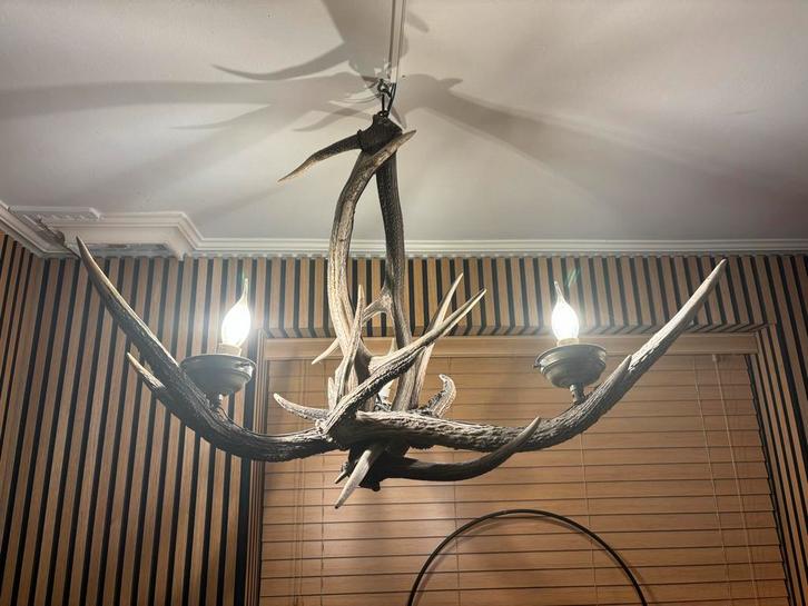 Unieke Gewei Lamp, Huis en Inrichting, Lampen | Hanglampen, Gebruikt, 50 tot 75 cm, Overige materialen, Ophalen