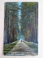 Ansichtkaart De Steeg, Ophalen of Verzenden, Gelderland