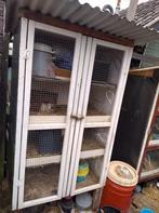 Groot konijnenhok caviahok flat met 4 laags caviaflat, Ophalen, Cavia, 90 cm of meer, Hok