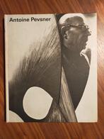 Le Dessin dans l'oeuvre d'Antoine Pevsner (Bernard Dorival), Ophalen of Verzenden, Gelezen, Beeldhouwkunst
