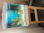 aquarium met een paar vissen, Dieren en Toebehoren, Ophalen of Verzenden, Zo goed als nieuw, Gevuld zoetwateraquarium