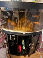aquarium groot met vis, Dieren en Toebehoren, Vissen | Aquaria en Toebehoren, Ophalen, Leeg aquarium