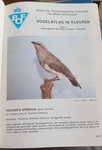 Vogels in kleuren. Komplete vogel atlas. 6 delen., Gelezen, Ophalen of Verzenden, Remi Ceuleers, Vogels