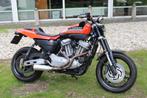 Harley-Davidson XR 1200 XR 1200 Sportster sport, 1200 cc, Bedrijf, 2 cilinders, Chopper
