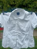 Damesblouse korte mouw Setter Lady, Kleding | Dames, Blouses en Tunieken, Ophalen of Verzenden, Zo goed als nieuw, Maat 42/44 (L)