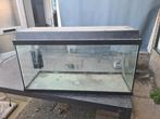 110L aquarium met licht en filter, Dieren en Toebehoren, Vissen | Aquaria en Toebehoren, Ophalen, Gebruikt, Leeg aquarium