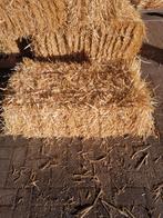 Gerste stro, Dieren en Toebehoren, Dierenvoeding, Ophalen, Vee