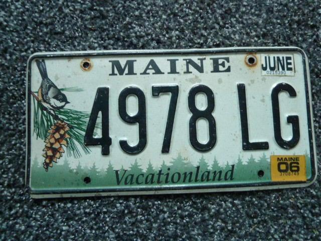 Kentekenplaat licenseplate Maine Chickadee Bird no. 2 USA, Verzamelen, Automerken, Motoren en Formule 1, Gebruikt, Auto's, Ophalen of Verzenden