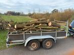 Dubbelasser vol hout +/- 3 kub wilg, els, beuk, Tuin en Terras, 3 tot 6 m³, Ophalen of Verzenden, Overige houtsoorten, Stammen
