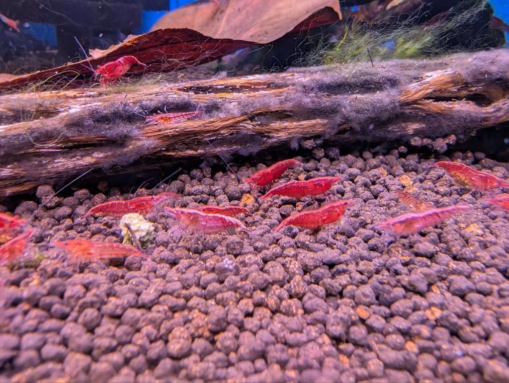 Haqiqiy voqealarga asoslangan uxlayotgan ayolni sikish